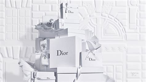 cosmetica van hudson bay dior|dior official site usa.